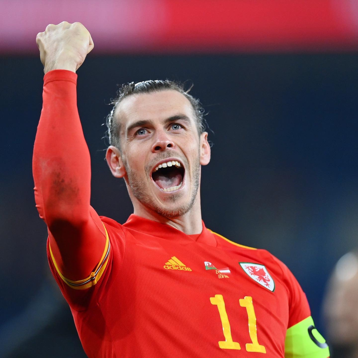 Bale từ giã sự nghiệp quốc tế 
