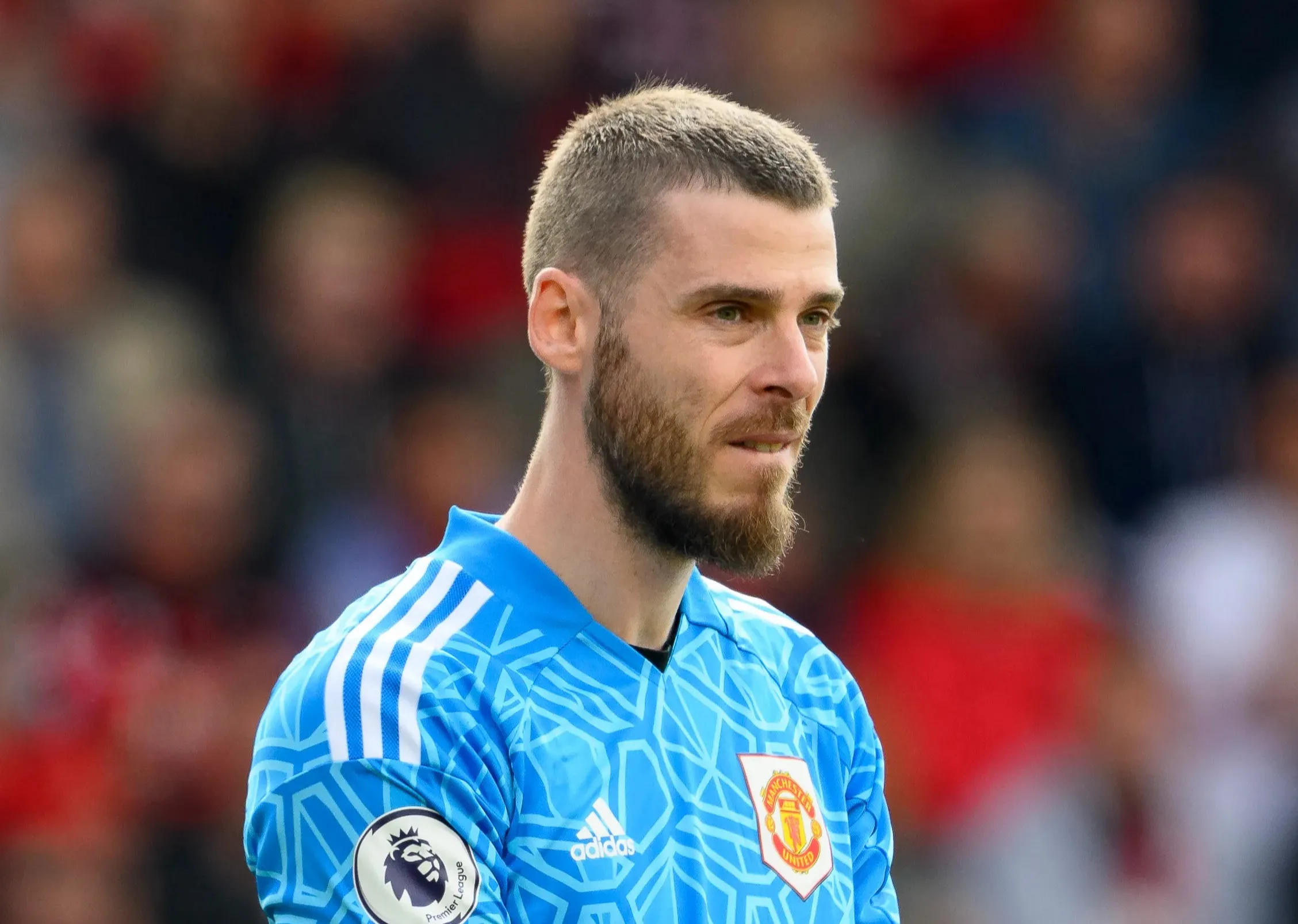 De Gea vẫn đang thất nghiệp